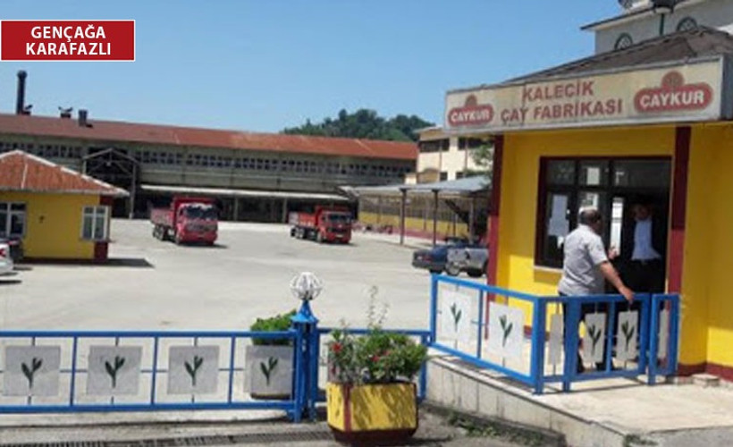 Kalecik Çay Fabrikası işçilerine 'randıman' cezası