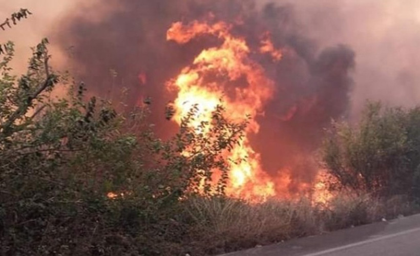 Mersin ve Hatay'da orman yangını