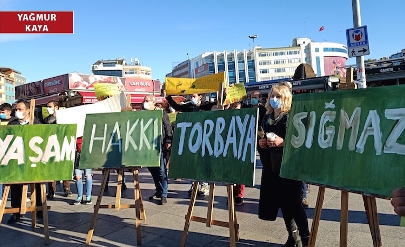 Ekolojik yıkım ve talan: Doğaya karşı bu kadar gaddar olmak zorunda mısınız?