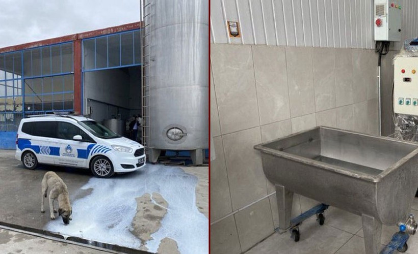 Süt fabrikasındaki görüntülere ilişkin açıklama: İşletme kapatıldı