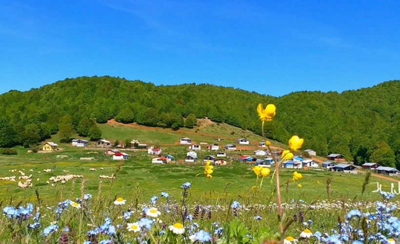 Tokat ve Amasya'da sinayürle altın aranmasına izin verildi