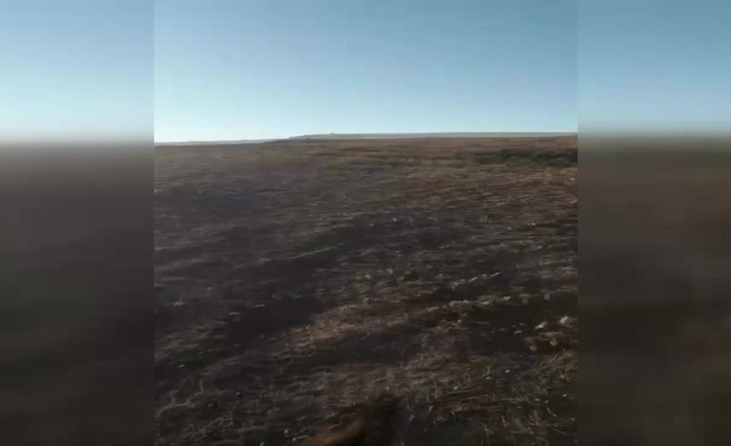 Ağaç olmayan arazi ormanlık alan ilan edildi, köylünün merası kapatıldı