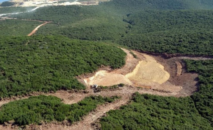 Ormanlık alanda açılacak maden ocağı için bin 500 ağaç kesilecek