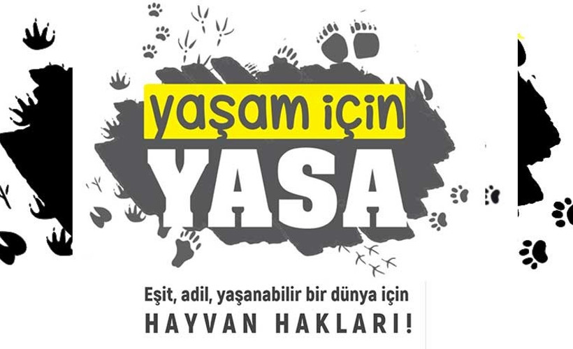 'Hayvanların yaşam hakkı anayasal güvenceye kavuşturulmalıdır'
