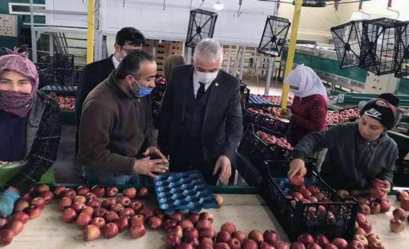 Elmanın fiyatı 700 metrede dört kat artıyor
