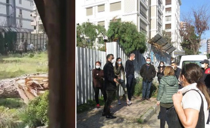 100 yıllık ağacı kesip kaçtılar