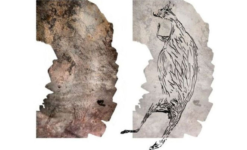 Avustralya'da 17300 yıllık kanguru resmi keşfedildi