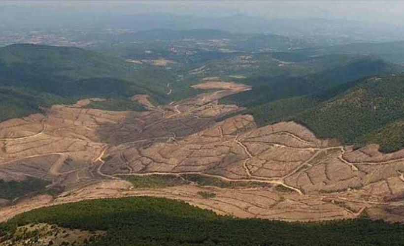 Kanadalı Alamos Gold'un yerli iştiraki Doğu Biga: Kazdağları'ndan hiçbir yere gitmiyoruz