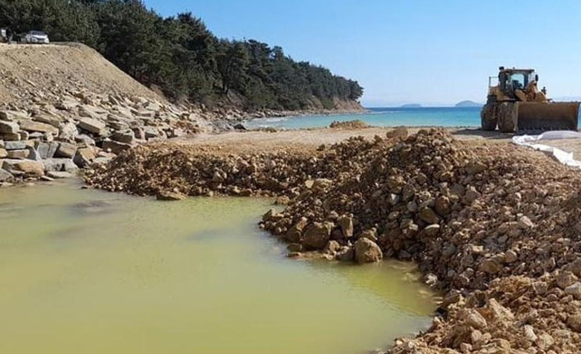 Saros Körfezi kıyılarına iş makineleri girdi, binlerce ağaç kesilecek