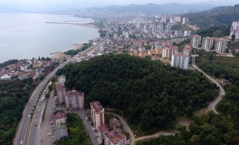 İmara açılan alandaki ağaçlar sokağa çıkma yasağı sırasında kesildi
