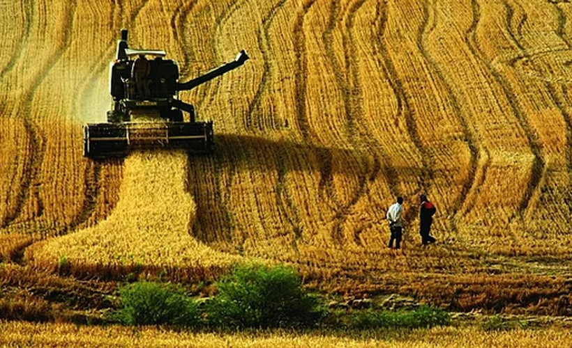 Dünya Çiftçiler Günü: AKP çiftçiyi yalnızlaştırmış, borç 130 milyar TL'yi aşmıştır!
