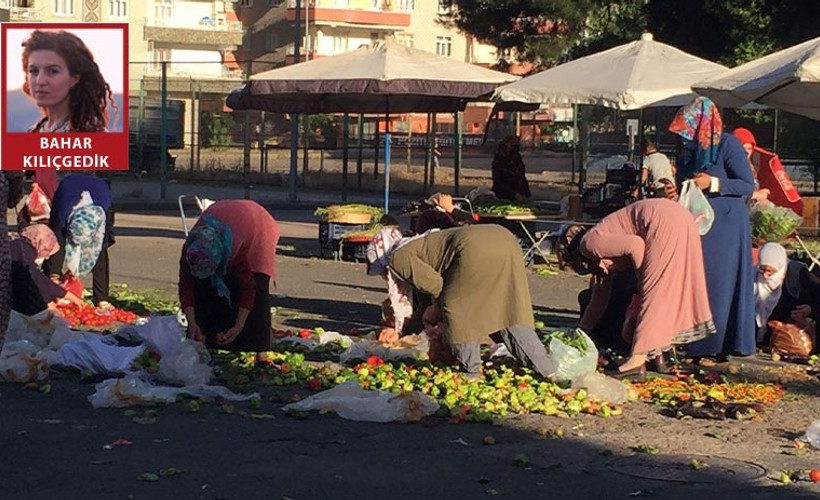 Tezgahlar kalktı yoksulluk ortaya çıktı: Alım gücü olmayan yurttaş yerden sebze meyve topladı