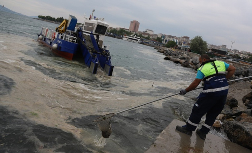 Kartal Belediyesi ve İBB deniz salyasına karşı çalışıyor: Tekrar olmayacağı anlamına gelmiyor