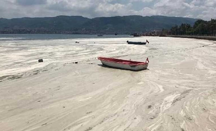 İzmit Körfezi yeniden deniz salyası ile kaplandı