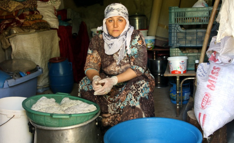 Otlu peynirin sofraya yolculuğunda tüm emek kadınların