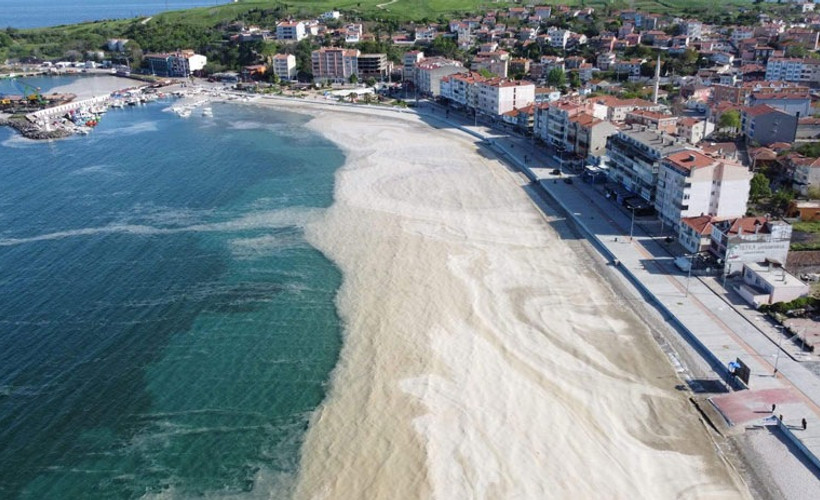 Müsilajın etkili olduğu Marmara'da denize gireceklere uzman isimden uyarı