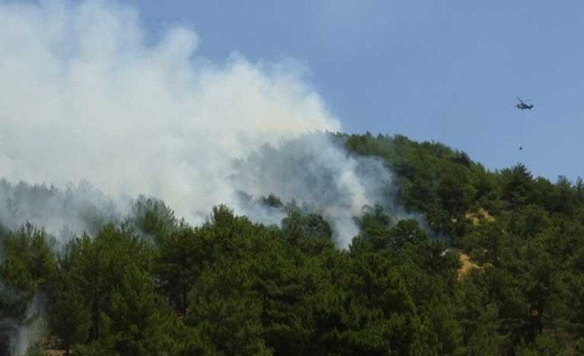 Hatay ve Mersin'de dün başlayan orman yangınları devam ediyor