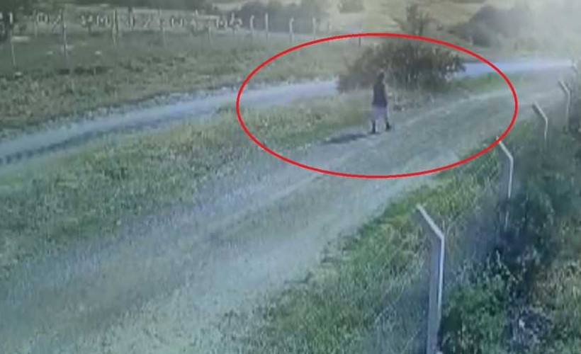 Kaçan koyunun peşinden giderken kaybolan üniversite öğrencisinin son görüntüleri ortaya çıktı