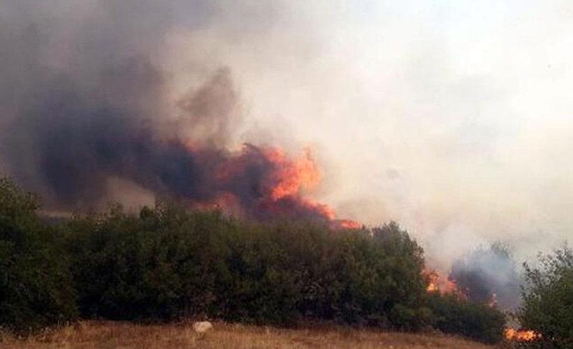Manisa'da orman yangını