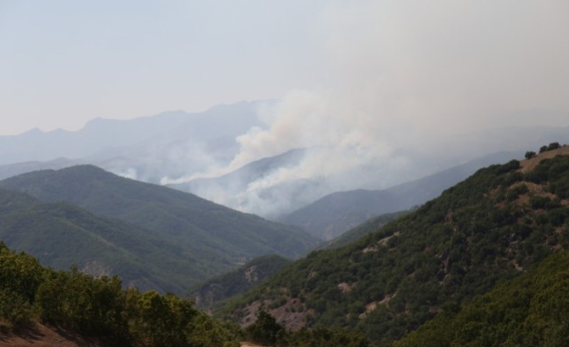 Günlerdir süren Dersim yangınına ilişkin açıklama