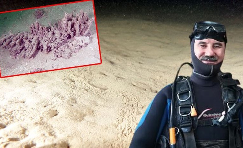 Müsilajı 1 yıl önce fark edip uyaran Prof. Dr. Sarı: Kasım ayında tekrarlayabilir