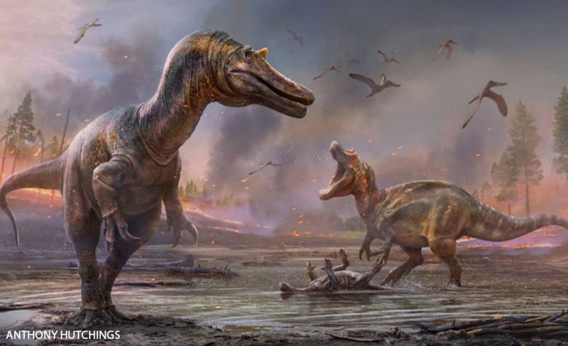 İngiltere’de yeni dinozor türleri bulundu