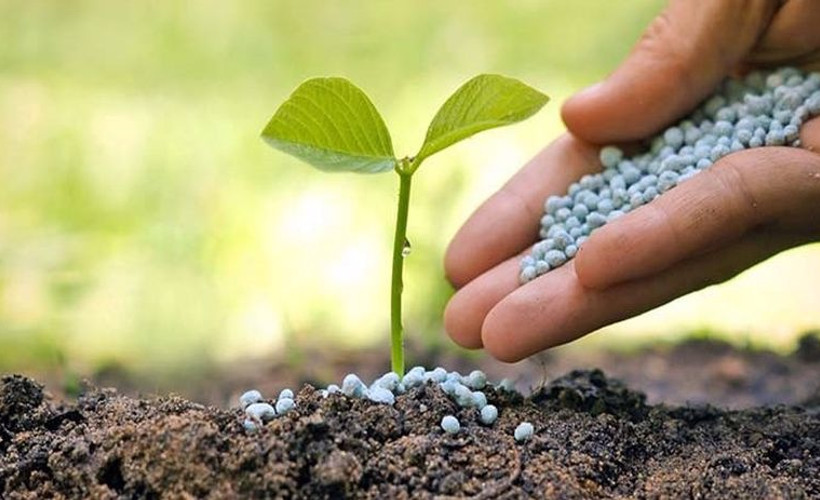 Ziraat Odası Başkanı Gemici: 2022 ülke için çok kötü geçecek