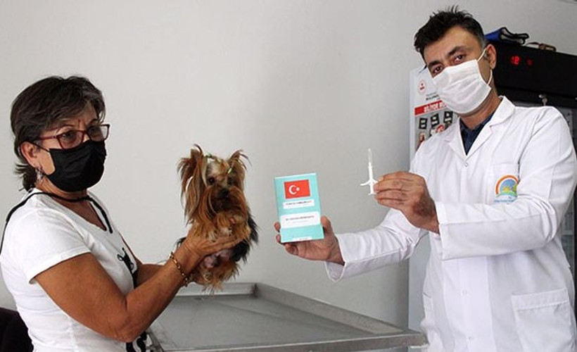 Köpeklere 2021, kedilere 2022 sonuna kadar çip takılacak