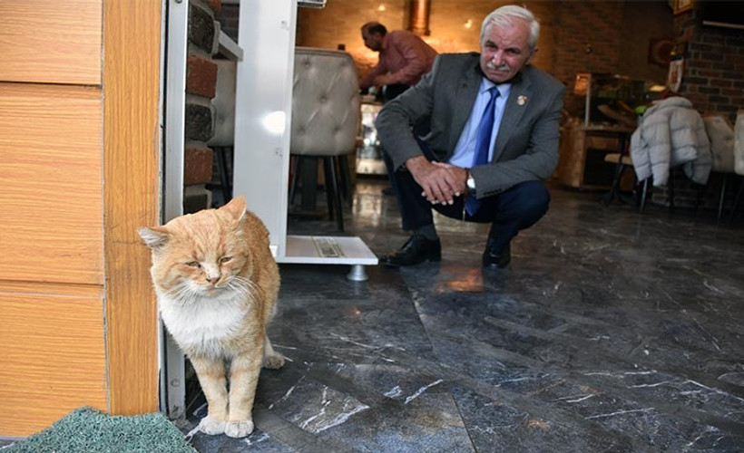 Ciğerci dükkanının müdavimi: Samim