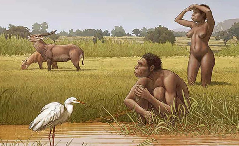 Yeni bir insan türü bulundu: Homo bodoensis
