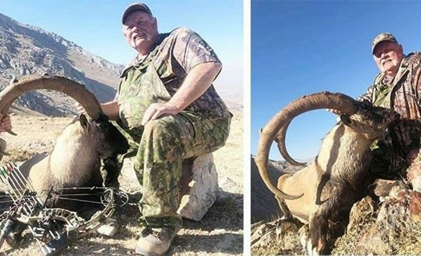 Yaban keçisi öldürme ihalesini kazandı, ABD'den Maraş'a geldi, keçiyi öldürdü ve gitti