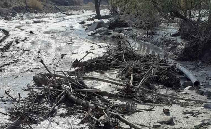 Giresun'da çevre felaketi: Maden şirketinin atık barajı çöktü
