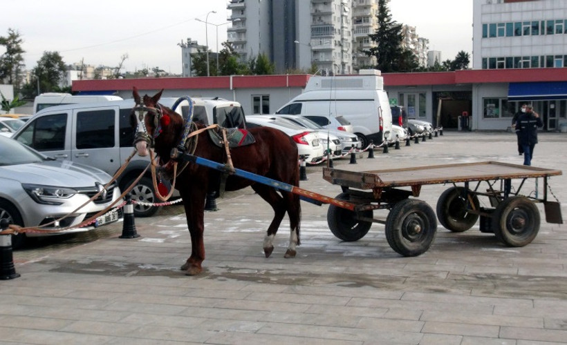 At arabasıyla seyyar torbacılık yapan baba-oğul yakalandı