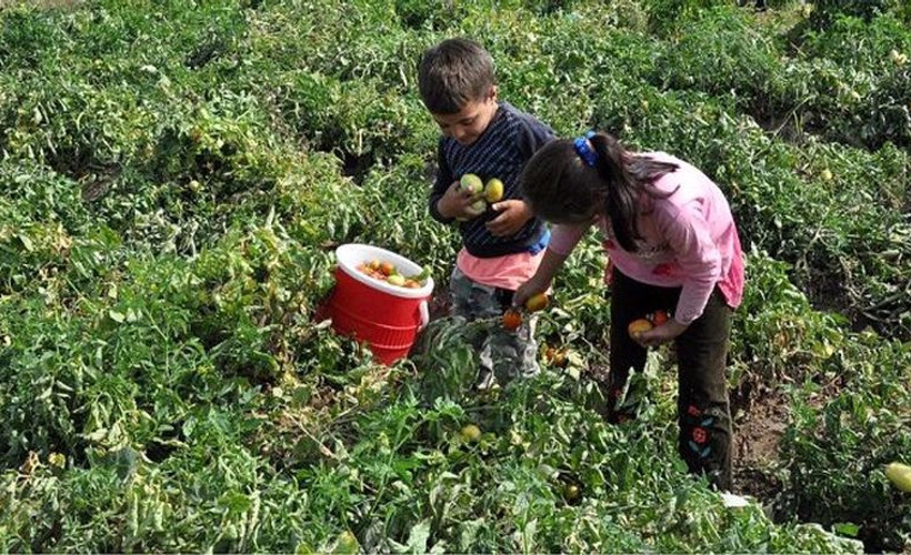 Bakanlık verileri: Çocuklar yoksulluk kıskacında ailelerinden koparılma riskiyle karşı karşıya