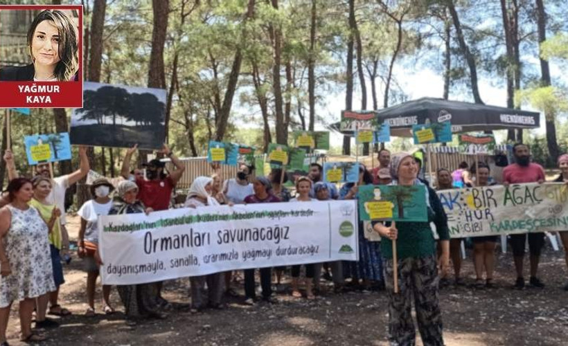 Akbelen Ormanı davasında bilirkişi keşfi öncesi yönetmelik değişti