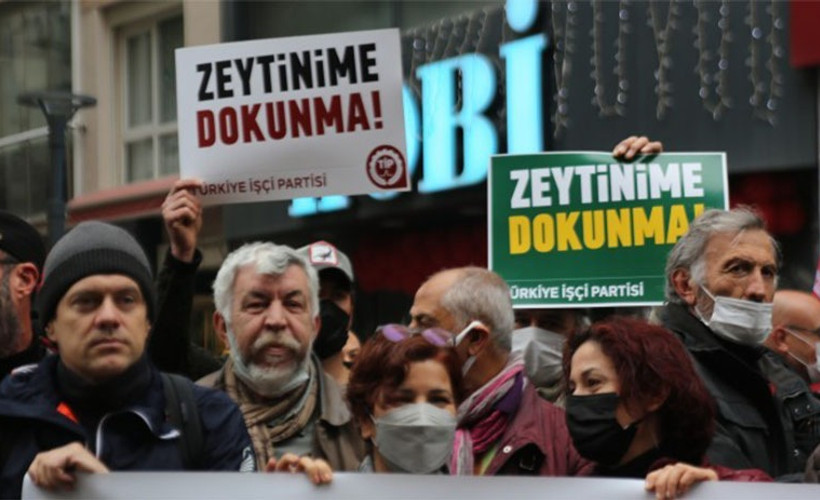 Ekoloji örgütleri: Zeytinlik talanını durduracağız