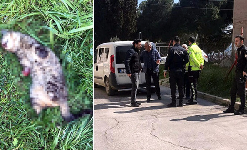 Turgutlu'da bir kedi daha bacakları kesilmiş olarak ölü bulundu