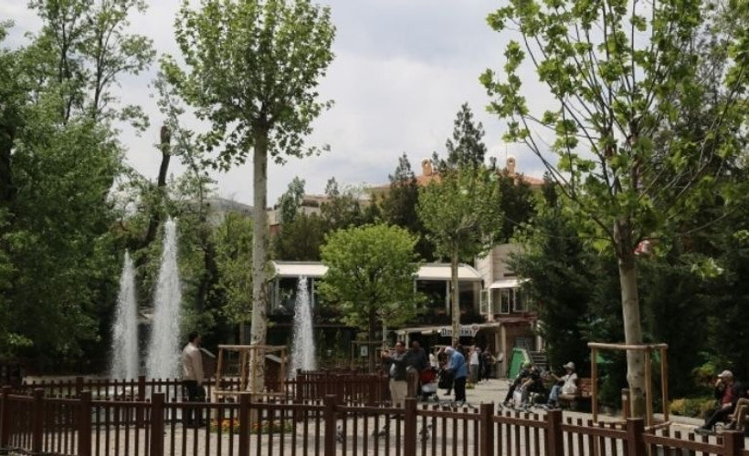 Çankaya Belediyesi'nin 'yeşerecek' dediği ağaçlar yerinden söküldü