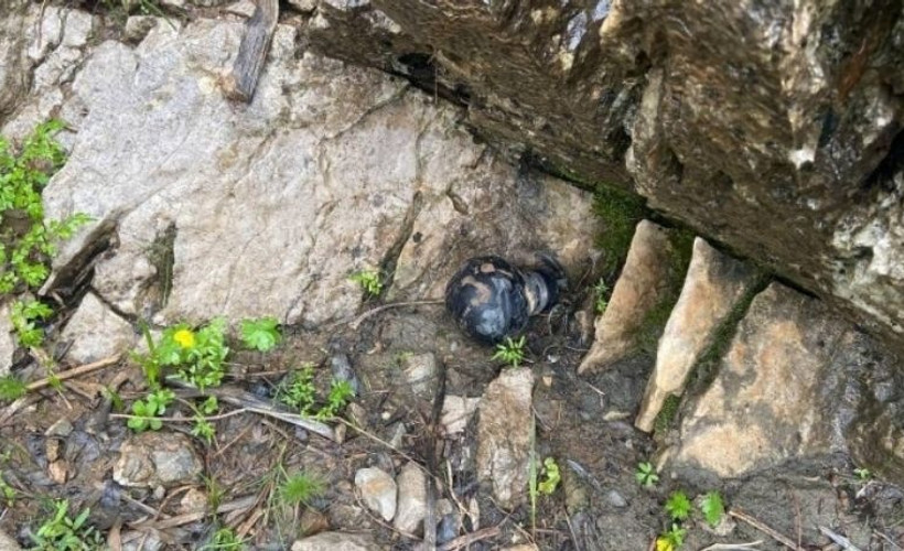 Şırnak'ta doğaya atılan askeri mühimmat tehlike saçıyor