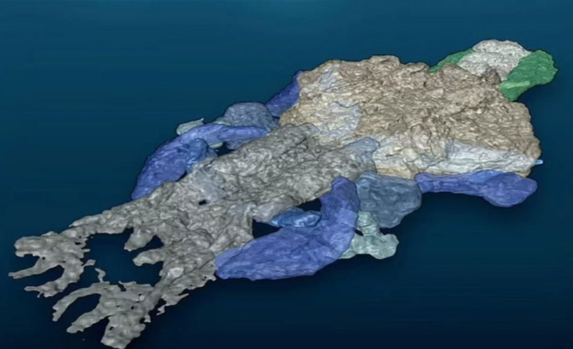 390 milyon yaşındaki en eski omurgalı: 4 uzvu ve bir çenesi var