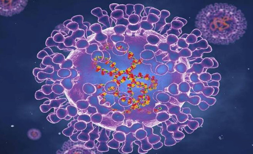 Finlandiya’da maymun çiçeği virüsü vakası tespit edildi