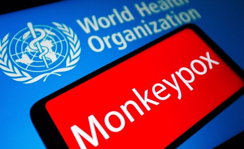 WHO: Afrika dışındaki maymun çiçeği vaka sayısı üçe katlandı