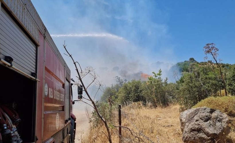 Muğla'da 3 yerde orman yangını