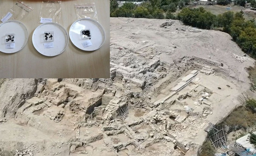 Tarihi Misis Höyüğü'nde 3 bin yıllık tohum bulundu