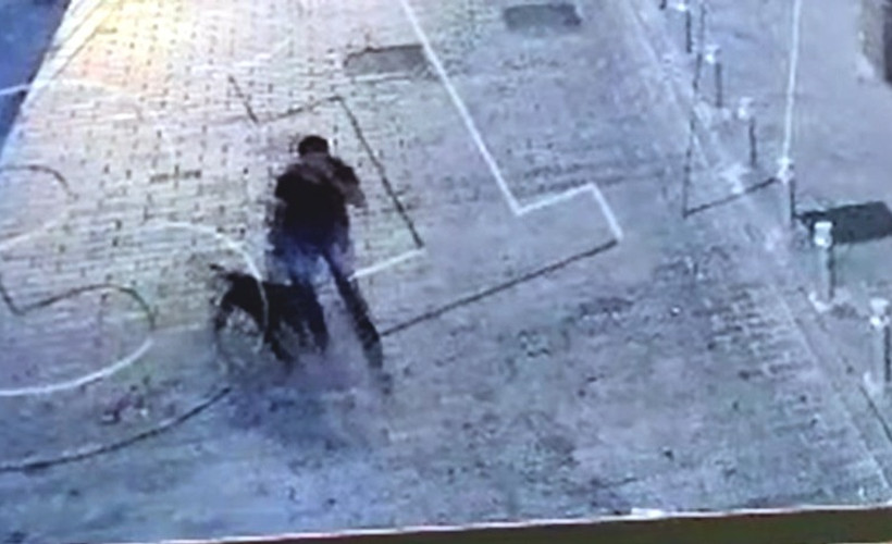 Beyoğlu'nda pitbull cinsi köpekle gasp yapanlar yakalandı