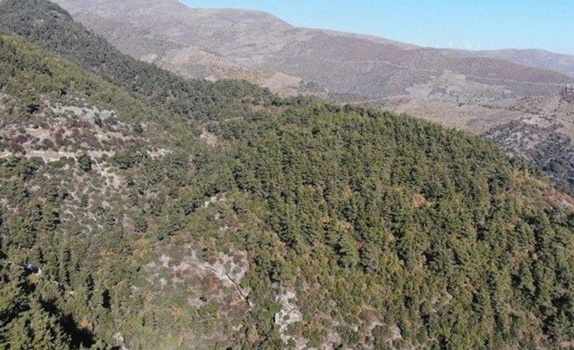 Aydın'da kent ormanları, milli parklar ve piknik alanları ziyarete kapatıldı
