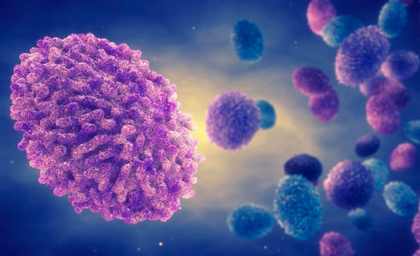 Dünya Sağlık Örgütü uyardı: Maymun çiçeğini kontrol altına almak için zaman daralıyor