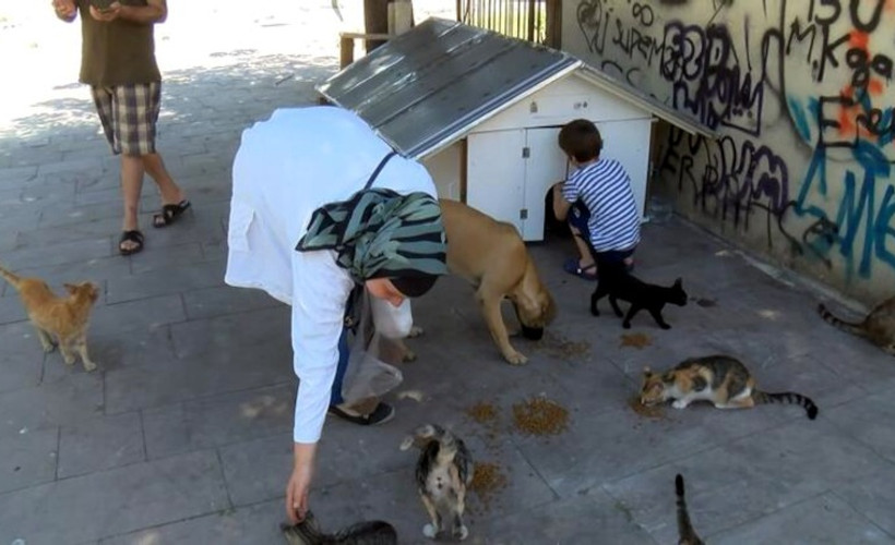 Sokakta kedi besledikleri için darp edildiler