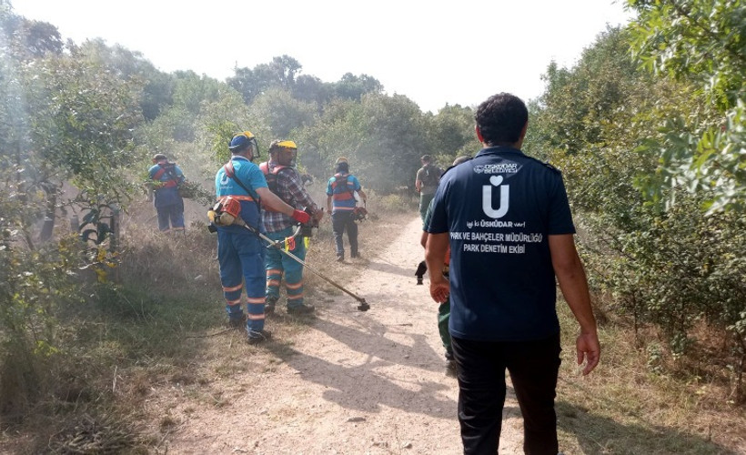 Üsküdar Belediyesi yine Validebağ Korusu'nda: Bu kez gerekçe ot biçme