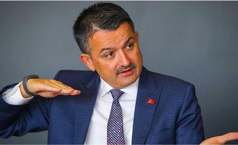 Eski Tarım ve Orman Bakanı Pakdemirli hangi bankanın yönetimine girdi?
